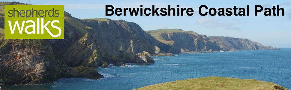 Berwickshire Coast Path: Clifftop Adventures on the Scottish-English Border